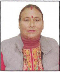 Hon. Dakshina Shahi